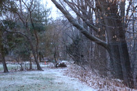 Early Morning snow and melt 12-10-22