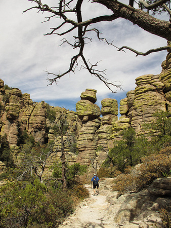 Elcho Canyon Trail at Chiricahua National Monument,  Arizona