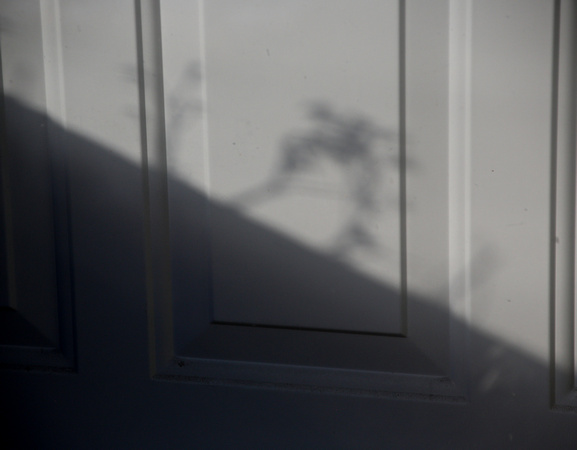 PAD Jan 2 Winter Shadows on our Front Door