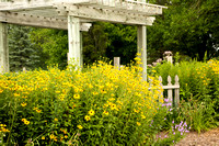 Appleton Gardens 7-20-21