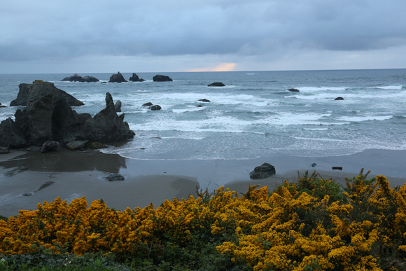PAD April 30 Yellow Rim to Bandon Beach One