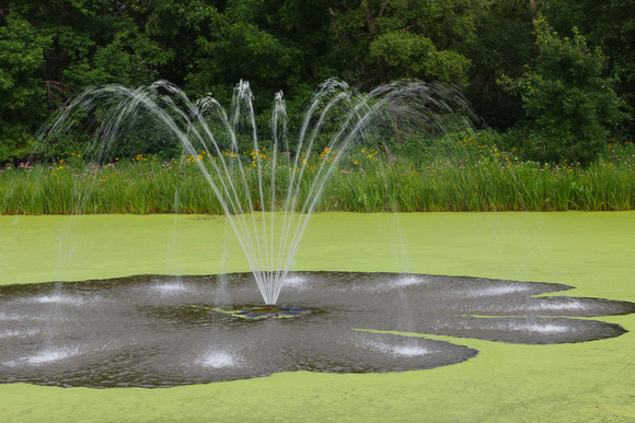 August 1 Neenah Rotary Park