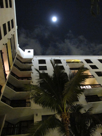 PAD Feb 1  Moonlight in West Palm Beach