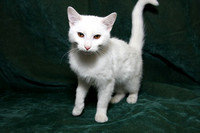Little Squirts 1-24-11