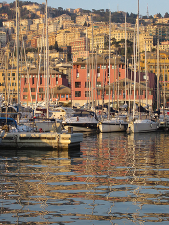 Week 52:  Favorite Photos....PAD April 13 Along Genova's pier near sunset 1