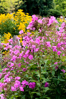 Appleton Gardens on 8-31-21