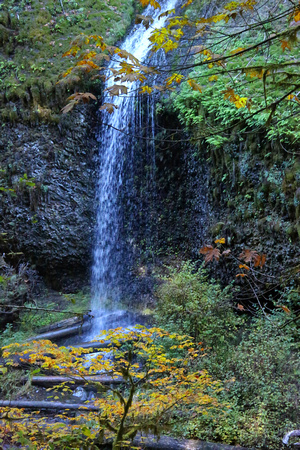 PAD October 6 Silver Falls different view