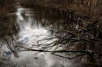 Heckrodt Walk 3-31-21