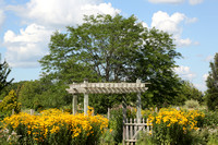 Appleton Gardens 8-2-21