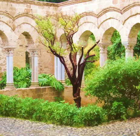 Palermo:  San Giovanni Degli Eremiti:  The Garden