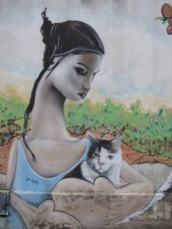 Jan 8 Mural that includes a cat in Valparaiso, Chile