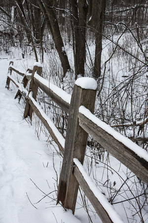 Jan 31 Snowy Fence