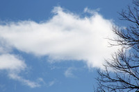 Cloud Study 3-11-21