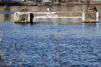 Fox River Walk on March 1 2021
