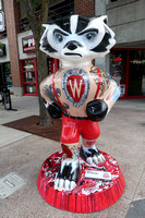 Bucky Badgers and Madison June 2018