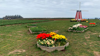 April iPhone Explorations 2019