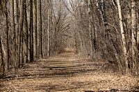 Menasha Conservancy Walk on 4-3-21