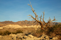 Sunday, Jan 27, Travel to Death Valley and Meet the Group