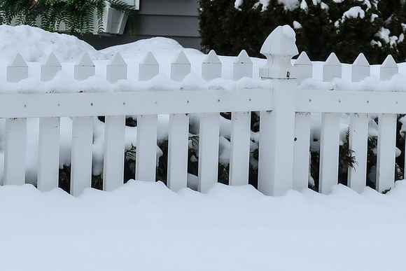 PAD March 1 Snow and White Fence and a Bit of Greenery
