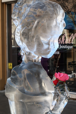 PAD Feb 15 Ice Sculpture with a Rose