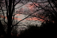 Sunrise on 11-10-22
