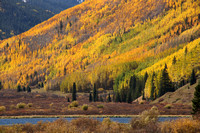 Fall Color in Colorado and Utah 2016