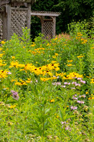 August 2019: Emulating a Famous Painter or Photographer