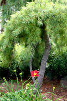 July PAD 2024