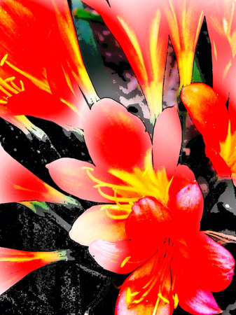 PAD Jan 19:  Flower Painting