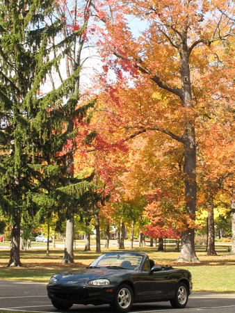 PAD September 30 Fall color and my Miata