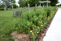 Appleton Gardens 6-29-21