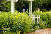 Walk at Appleton Gardens 7-12-21