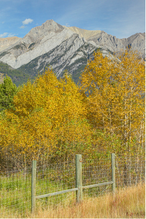 PAD September 16 One of the first days in the Canadian Rockies