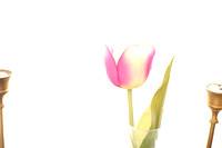 PAD March 16-2