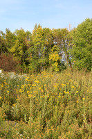 Around the Appleton Gardens 9-17-21