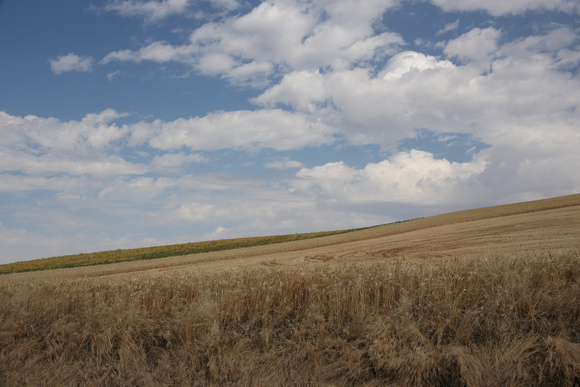 PAD August 1 Palouse with clouds