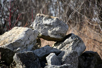 High Cliff Walk on 3-9-21