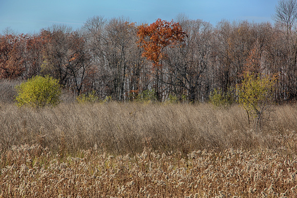PAD Nov 1 High Cliff on the Horse Trail