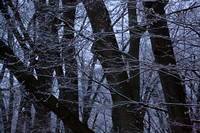 Snow on 12-3-21