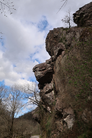 PAD March 12 On the Trail with the Boys