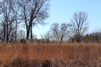 Walk at Heckrodt Dec 1 2020