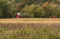 Hike on the Wiowash Trail 10-10-19