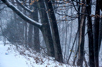 Snowstorm Thundersnow 12-10 and 12-11 21